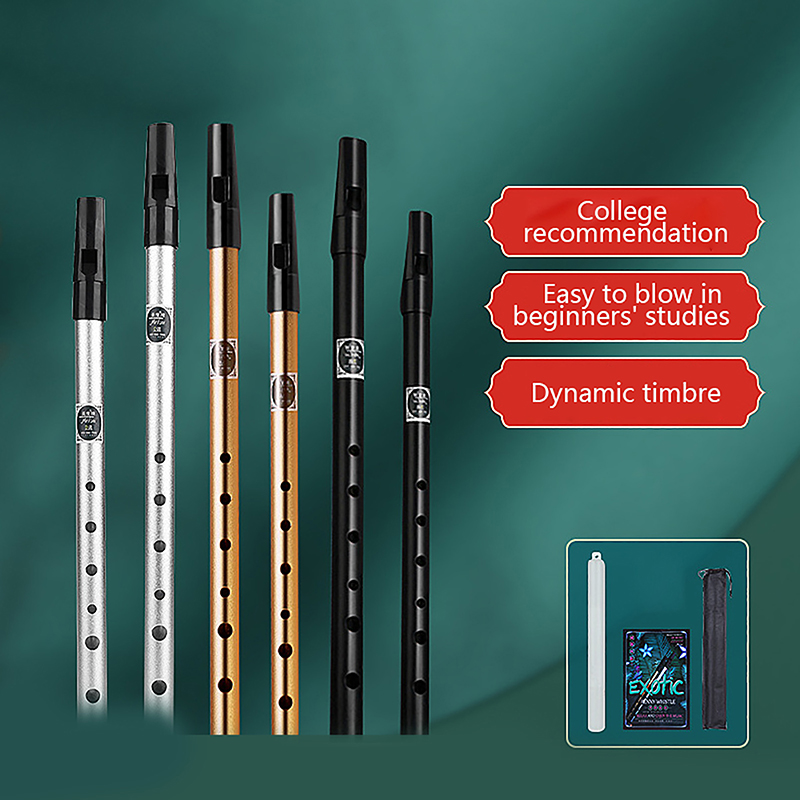Penny Whistle D - فلوت معدني مع 6 فتحات ،