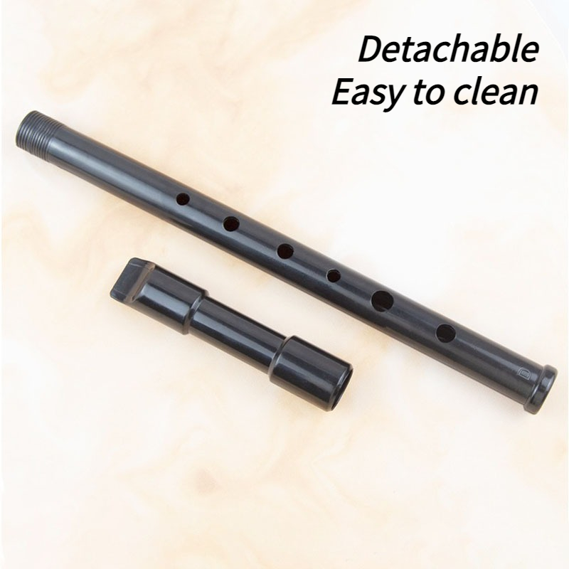6 حفرة الراتنج القصدير صافرة D - مراجعة Penny Whistle D وسعره
