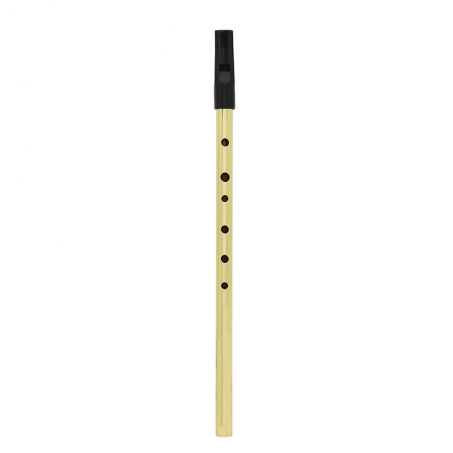 صافرة إيرلندية سوبرانو فلوت D  - مراجعة Penny Whistle D وسعره