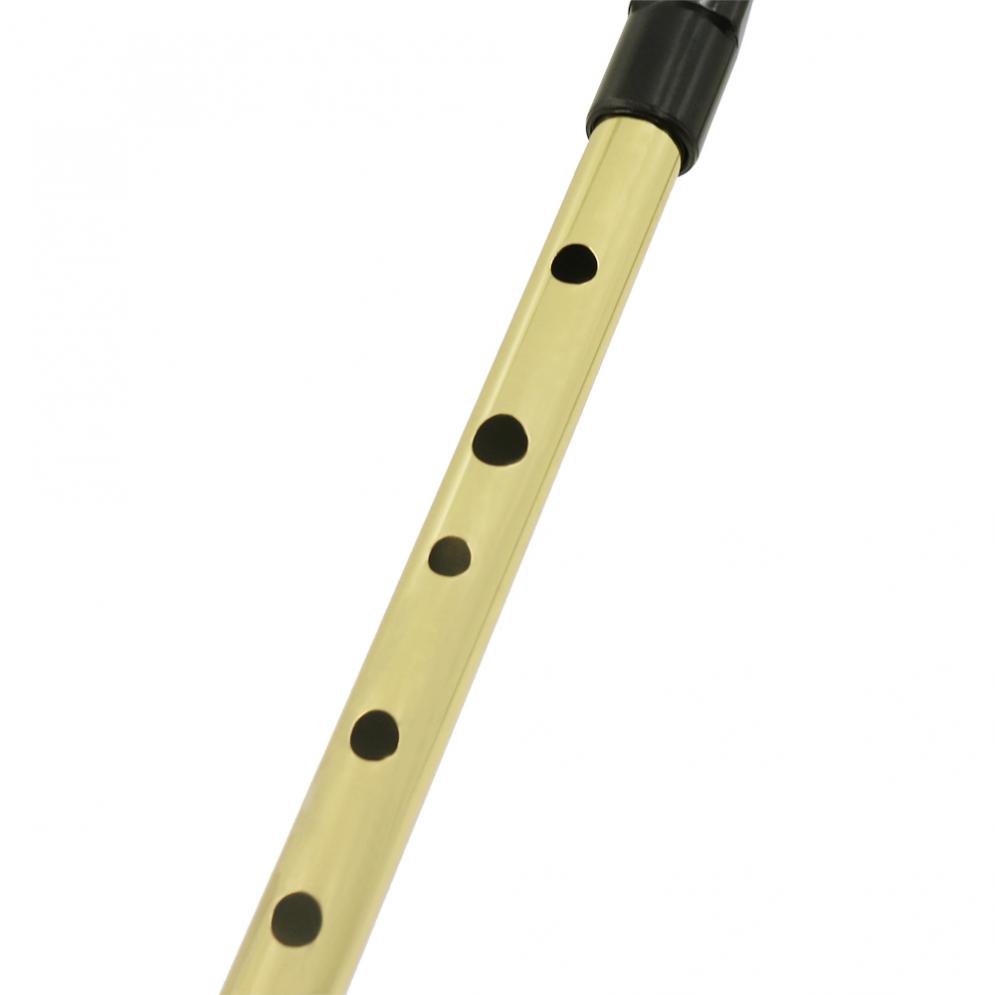 صافرة إيرلندية سوبرانو فلوت D  - مراجعة Penny Whistle D وسعره