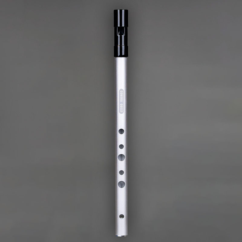 صفارة معدنية احترافية بـ 6 فتح - مراجعة Penny Whistle D وسعره