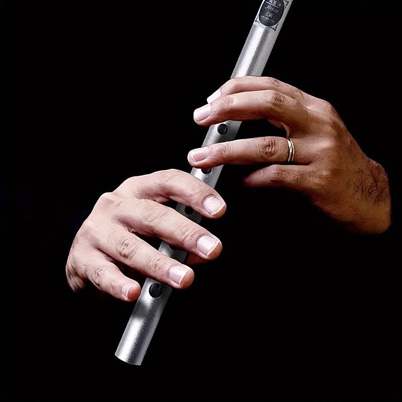 1 قطعة C/D مفتاح القصدير بيني  - مراجعة Penny Whistle D وسعره
