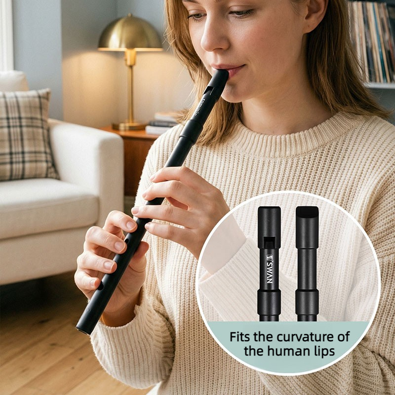صفارة تين وِزل محمولة للمبتدئي - مراجعة Penny Whistle D وسعره