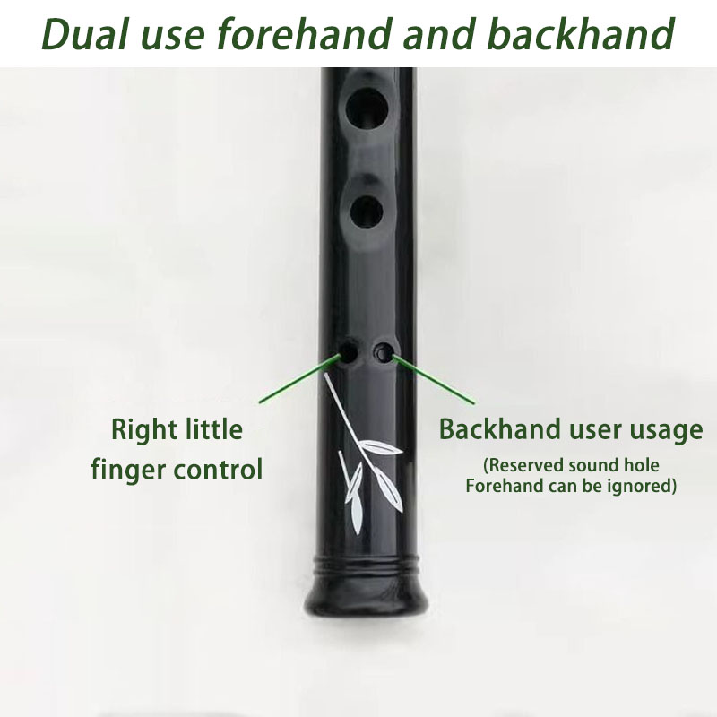 صفارة بيني من الراتنج بمفتاح D - مراجعة Penny Whistle D وسعره
