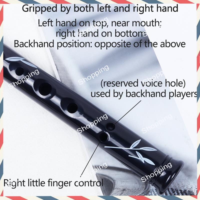 A44M 6 ثقوب الأيرلندية القصدير - مراجعة Penny Whistle D وسعره